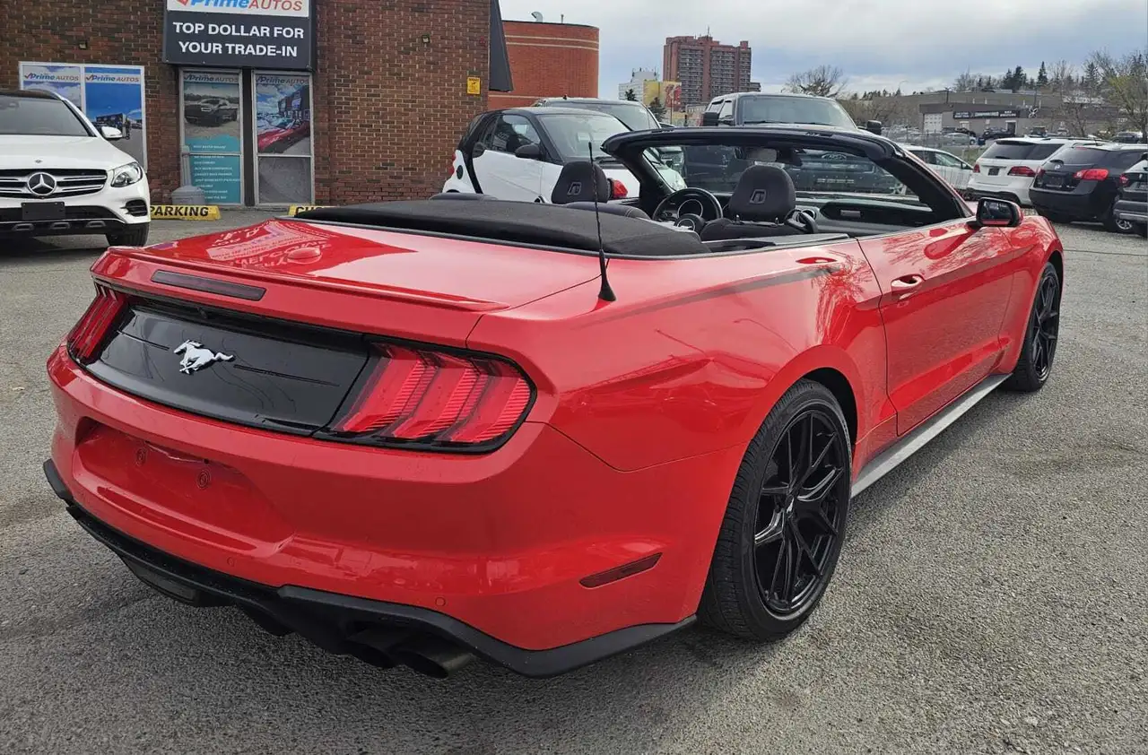 Ford Mustang photo Ford Mustang
