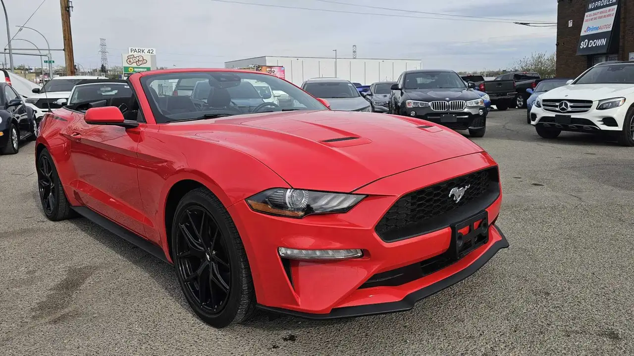 Ford Mustang photo Ford Mustang