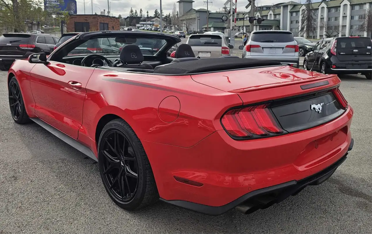 Ford Mustang photo Ford Mustang
