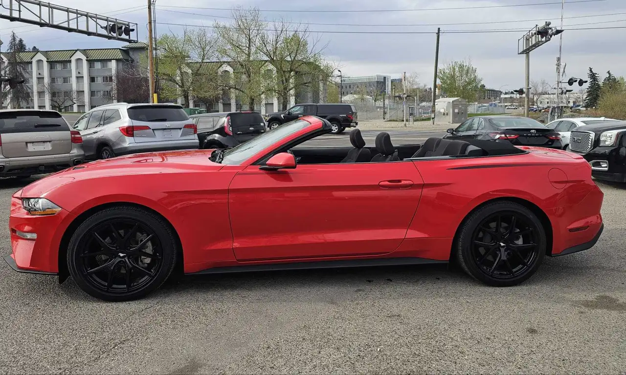 Ford Mustang photo Ford Mustang