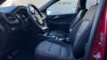 Ford Kuga 2.0 ECOBLUE MHEV 110KW ST-LINE 150 5P Rojo - thumbnail 11
