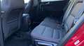 Ford Kuga 2.0 ECOBLUE MHEV 110KW ST-LINE 150 5P Rojo - thumbnail 13