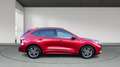 Ford Kuga 2.0 ECOBLUE MHEV 110KW ST-LINE 150 5P Rojo - thumbnail 6