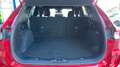 Ford Kuga 2.0 ECOBLUE MHEV 110KW ST-LINE 150 5P Rojo - thumbnail 9
