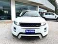 Land Rover Range Rover Evoque 2.2 TD4 5p. Dynamic HSE Autom. PANORAMA Wit - thumbnail 3
