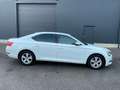 Skoda Superb 2.0 TDI Lim.190 ps Ambition Euro-6,netto 9150,e Weiß - thumbnail 8