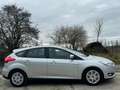 Ford Focus 1.0 EcoBoost Business Edition Gris - thumbnail 5
