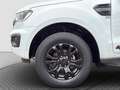 Ford Ranger Ranger Doppelkabine Wildtrak 4x4 2,0D EcoBlue A... Weiß - thumbnail 20