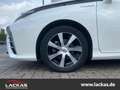 Toyota Mirai *DE Ausführung*Sofort Lieferbar*LEDER*NAVI*LED Blanco - thumbnail 4