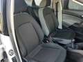 SEAT Ibiza 1.4 TDI  5p.(7.000+iva)  AUTOCARRO 4posti Bianco - thumbnail 10