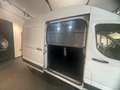 Maxus Deliver 9 VAN L3H3 N1 (FWD) STANDARD MY22 Blanc - thumbnail 11