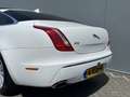 Jaguar XJ 3.0 V6D 275pk Premium Luxury Automaat | Leder | Xe Blanco - thumbnail 6