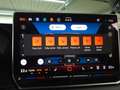 Volkswagen Tiguan Friends TDI DSG Grau - thumbnail 22