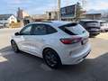 Ford Kuga ST-Line*ACC*AHK*Virtual*LED*1.Besitz* Weiß - thumbnail 4
