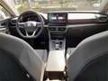 SEAT Leon SP 1.0 eTSI 81kW DSG S&S Style Go - thumbnail 15