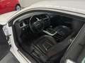 Audi A5 Ambiente Blanc - thumbnail 15