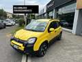 Fiat Panda 1.0 FireFly S&S Hybrid Pandina - thumbnail 1