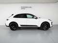 Porsche Macan Todoterreno Automático de 5 Puertas Blanc - thumbnail 6