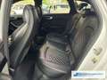 Audi A4 Avant quattro sport 3.0 TDI S line S-line Sportpak Blanco - thumbnail 14