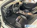 Audi A4 Avant quattro sport 3.0 TDI S line S-line Sportpak Blanco - thumbnail 17
