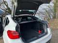 BMW X4 X4 xDrive 20d Österreich-Paket Aut. Alb - thumbnail 7