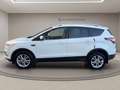 Ford Kuga 1.5 tdci edition s&s 2wd 120cv powershift Bianco - thumbnail 3