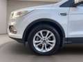 Ford Kuga 1.5 tdci edition s&s 2wd 120cv powershift Bianco - thumbnail 13