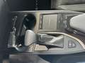 Lexus UX 250h Business Navigation 4WD Gri - thumbnail 23
