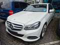 Mercedes-Benz E 200 E -Klasse Lim. CDI BlueEfficiency Leder Blanco - thumbnail 2