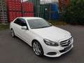 Mercedes-Benz E 200 E -Klasse Lim. CDI BlueEfficiency Leder Blanco - thumbnail 1