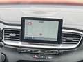 Kia Ceed SW / cee'd SW Ceed Sportswagon 1.0 TGDI Vision LED SHZ Carplay Rot - thumbnail 15