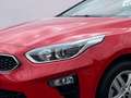 Kia Ceed SW / cee'd SW Ceed Sportswagon 1.0 TGDI Vision LED SHZ Carplay Rot - thumbnail 8