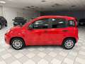 Fiat Panda Panda 1.2 Easy 69cv Rot - thumbnail 4