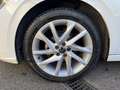 Volkswagen Polo Polo 1.0 tsi Style 95cv Blanco - thumbnail 16