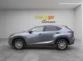 Lexus NX 300h Business Line Hybrid Aut. *MWST*LEASING*ACC*LEDER* Grau - thumbnail 2