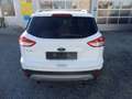 Ford Kuga Titanium Sitzheitzung ,Klima, Bianco - thumbnail 5