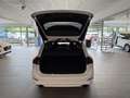 Ford Focus Turnier ST X 2,3 l EcoBoost 206 kW/280 PS Blanco - thumbnail 21