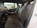 Ford Focus Turnier ST X 2,3 l EcoBoost 206 kW/280 PS Blanco - thumbnail 10
