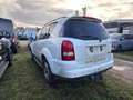 SsangYong Rexton 4WD AUTOMATIK +LEDER + KLIMAAUTOMATIK Weiß - thumbnail 28