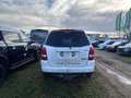 SsangYong Rexton 4WD AUTOMATIK +LEDER + KLIMAAUTOMATIK Weiß - thumbnail 27