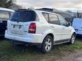 SsangYong Rexton 4WD AUTOMATIK +LEDER + KLIMAAUTOMATIK Alb - thumbnail 2