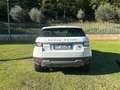 Land Rover Range Rover Evoque Range Rover Evoque 5p 2.0 td4 pure busin Bianco - thumbnail 12
