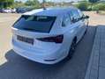 Skoda Octavia Combi 2.0 TDI DSG Style 17"+CANTON+NAVI- Weiß - thumbnail 5