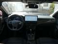 Ford Focus Lim. ST-Line X*Panoramadach* Rot - thumbnail 12