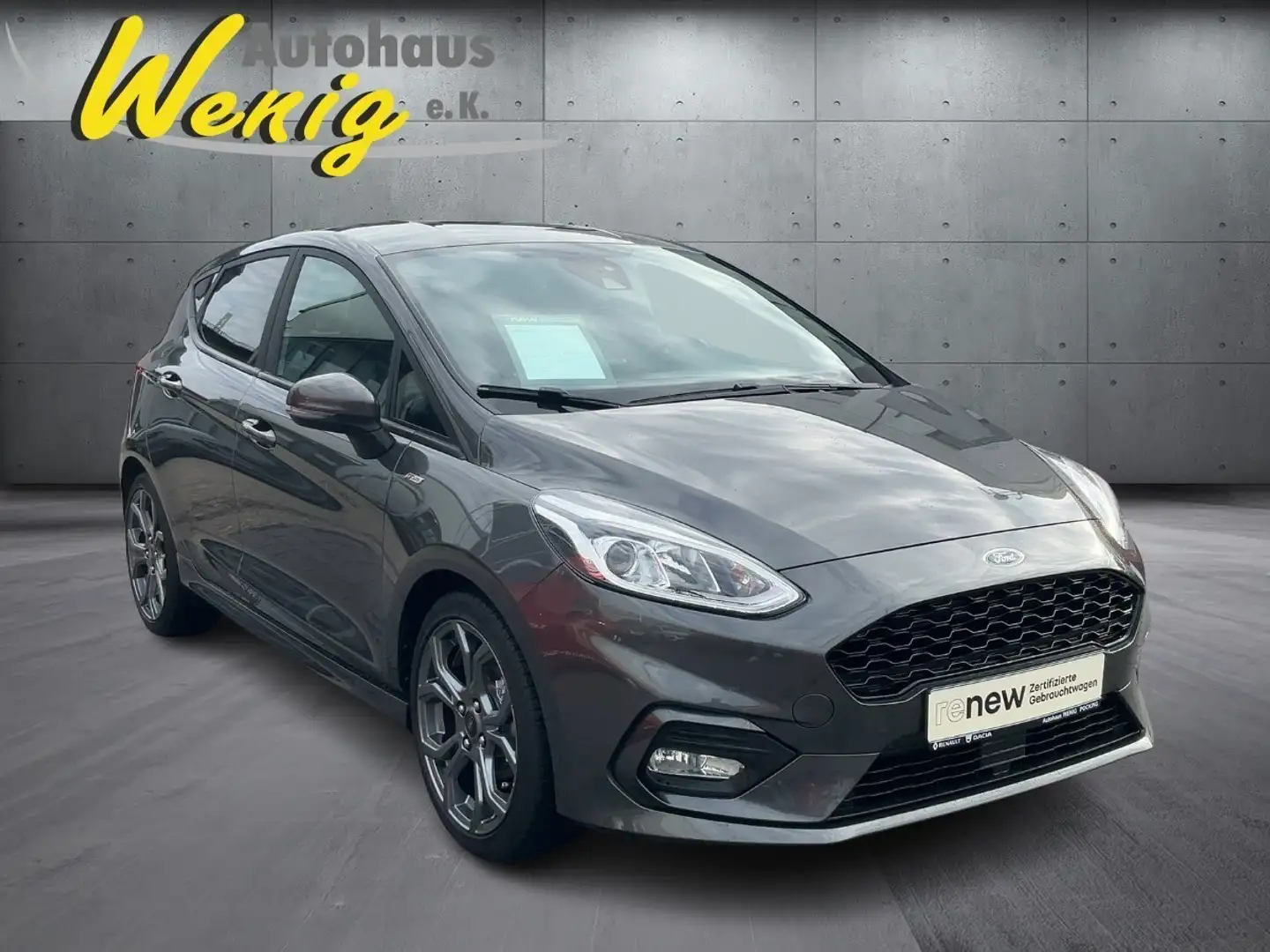 Ford Fiesta Gris - 2