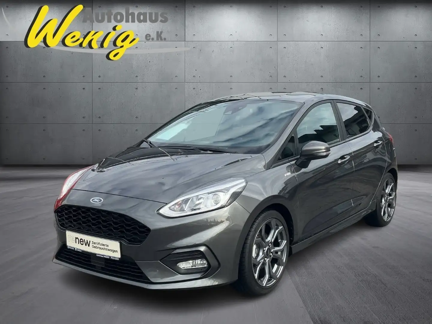 Ford Fiesta Gris - 1