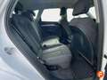Audi Q5 40 TDI 140kW (190CV) quattro S tronic Amarillo - thumbnail 15