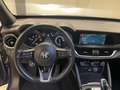 Alfa Romeo Stelvio 2.2 Turbodiesel 190 CV AT8 Q4 Business Blauw - thumbnail 13