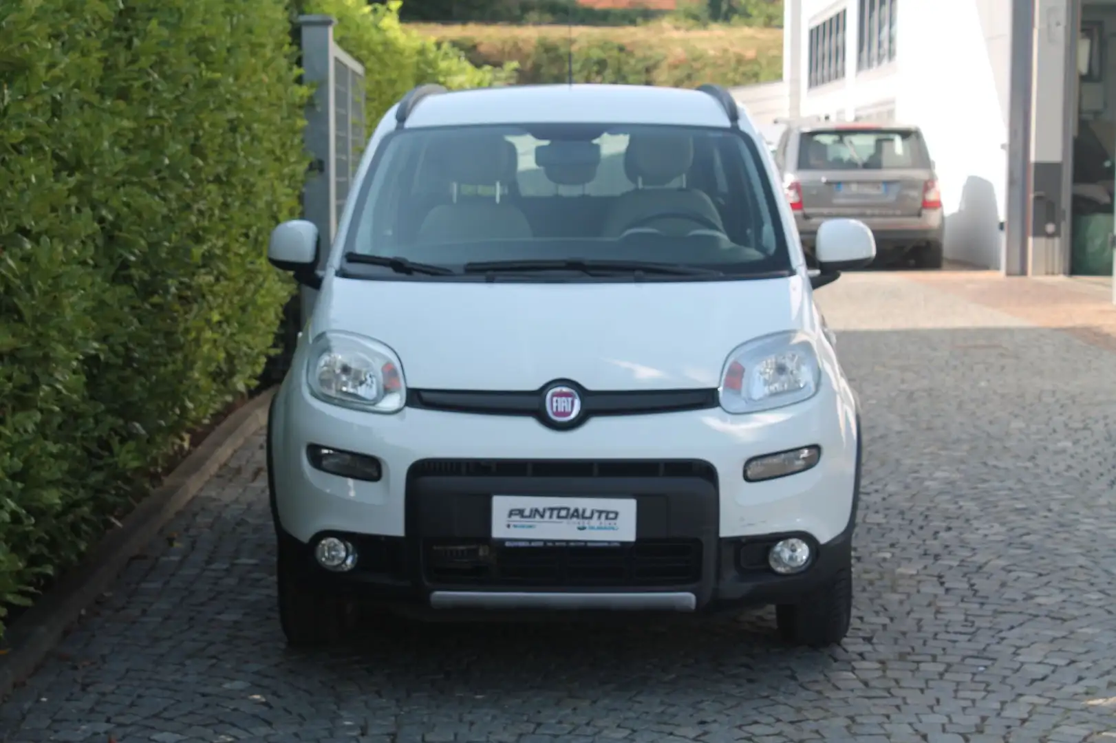 Fiat Panda Panda 0.9 TwinAir Turbo S&S 4x4 GPL Bianco - 2