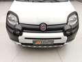Fiat Panda PANDINA 1.0 70CV HYBRID (CROSS) Grigio - thumbnail 32